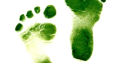 ‘Sustainable development is the kind of development that meets the needs of the present without compromising the ability of future generations to meet their own needs.’