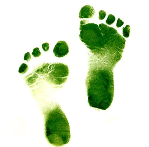 Ecological Footprint